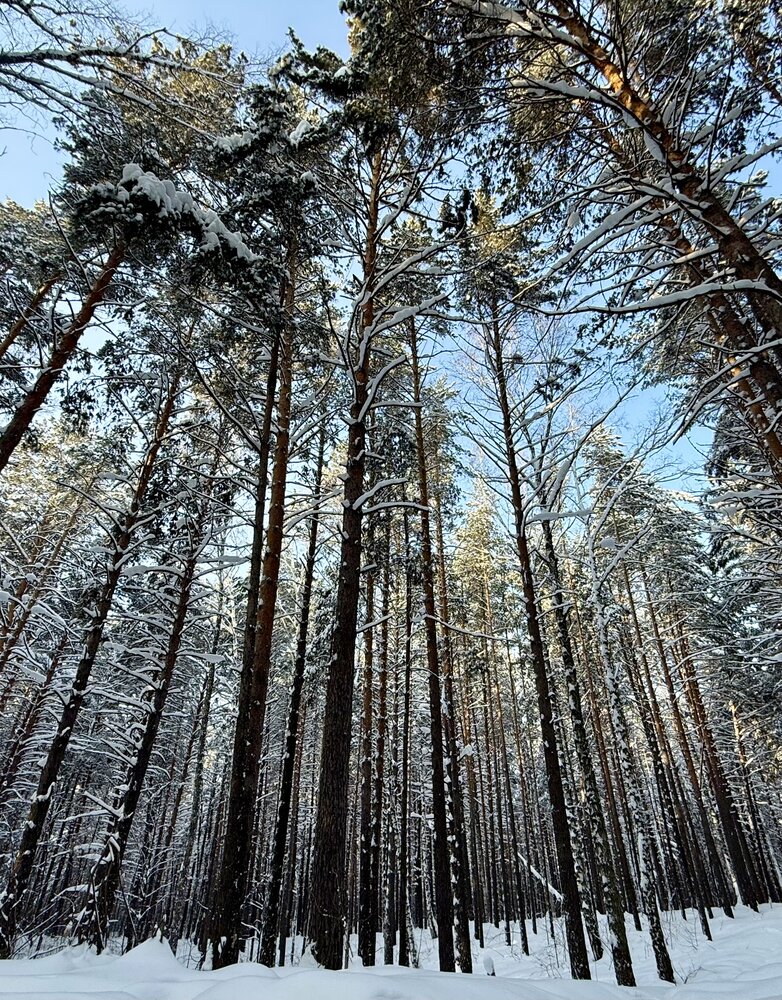 Photograph by Роман Демин
