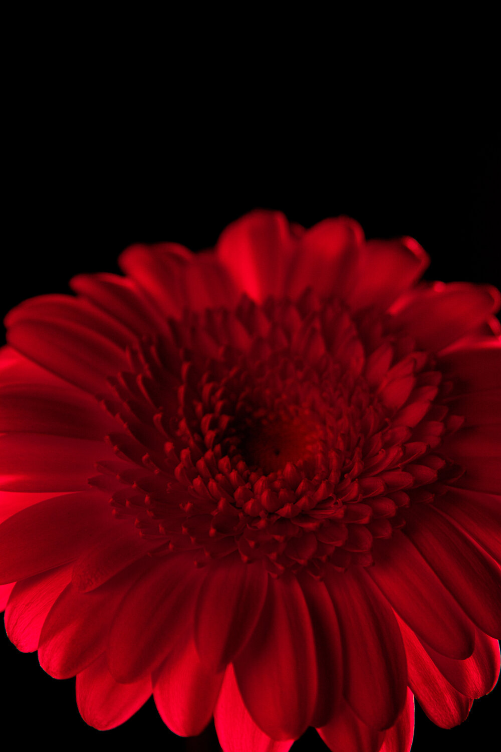 Photo #13868879