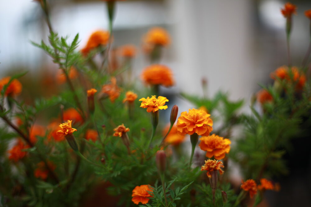 Photograph by Оксана Старостина