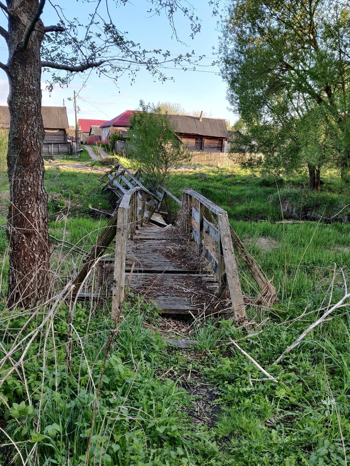 Photo #13868941