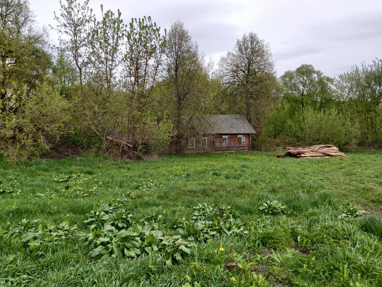 Photo #13868950