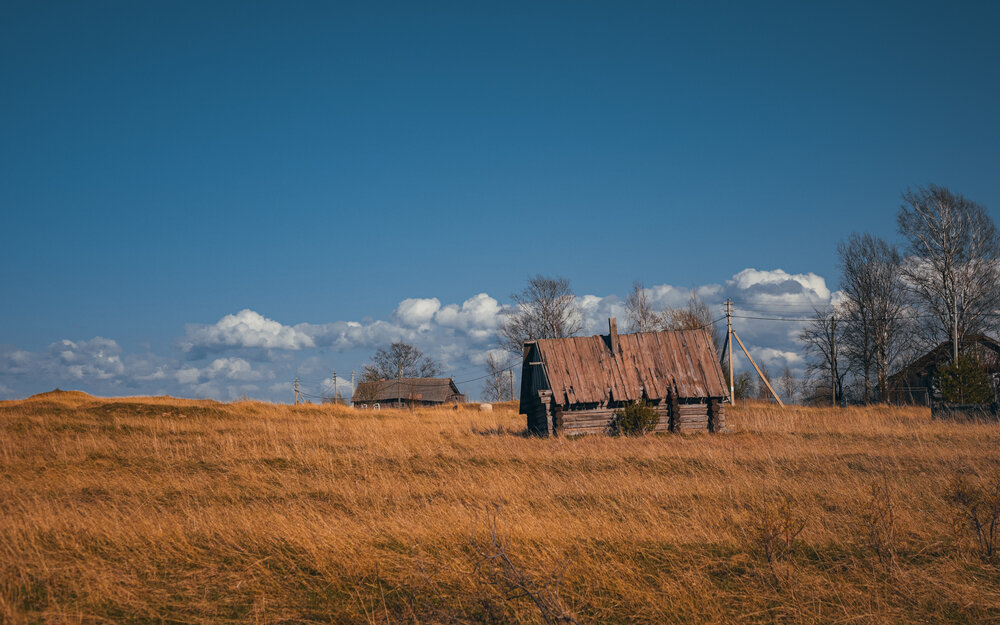 Photograph by Игорь Лузин