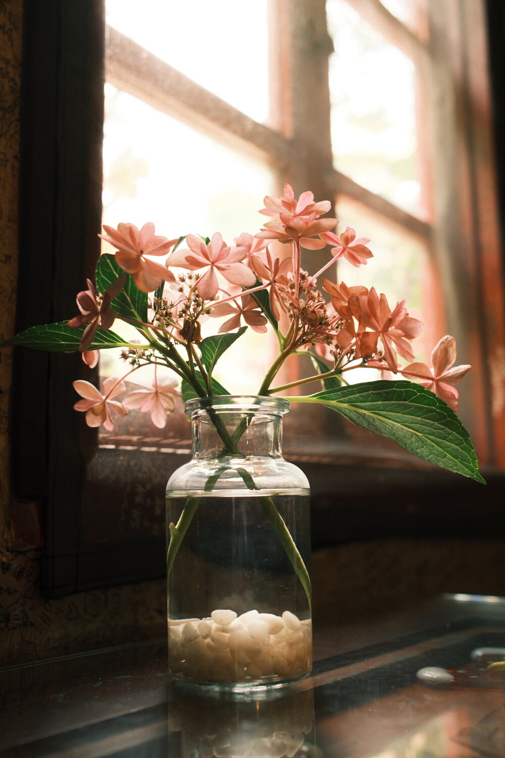 Photo #13868986