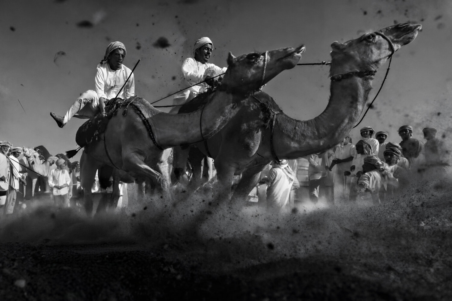 Desert Heritage and the Rush of Challenge