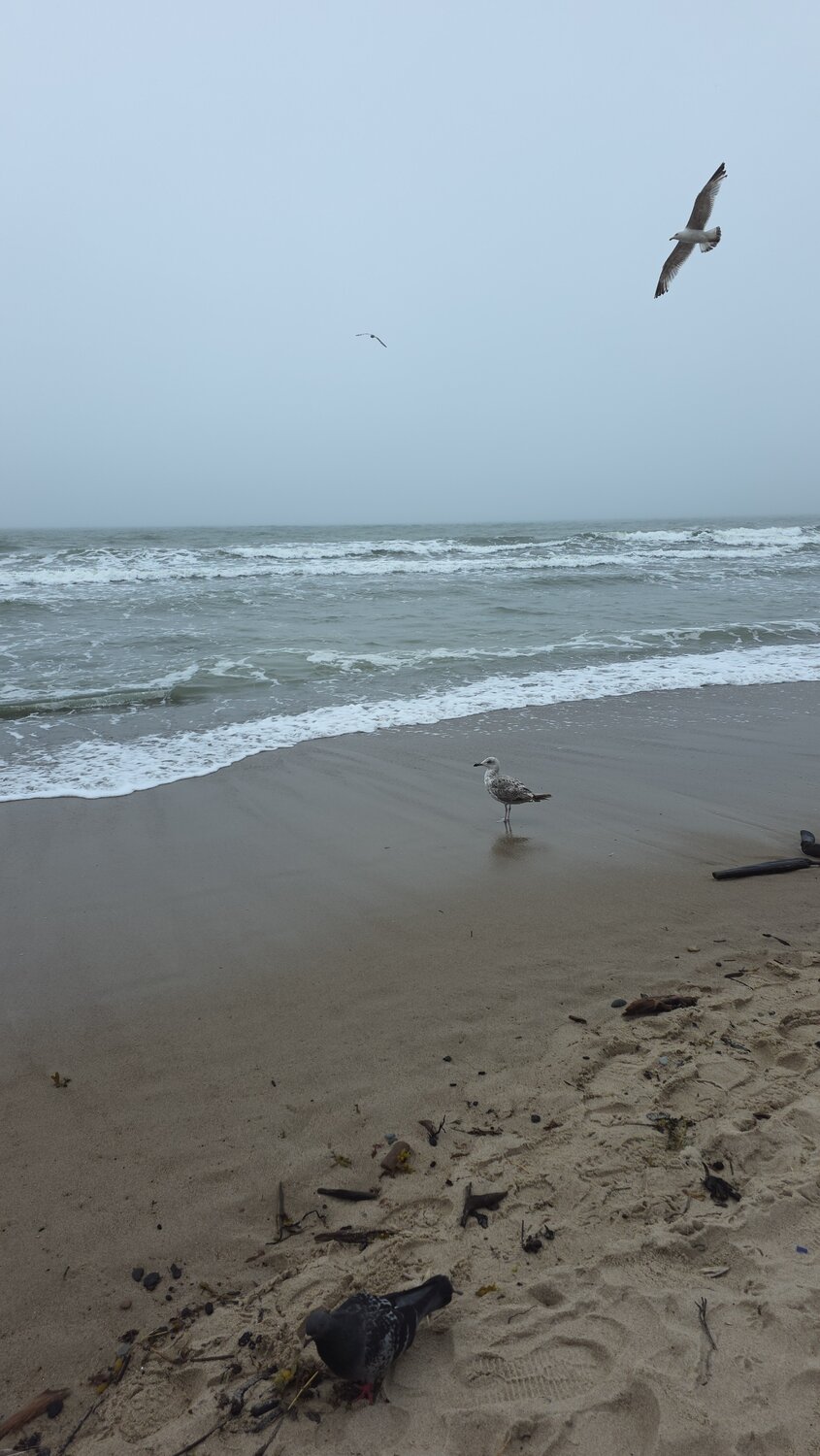 Photo #13868996