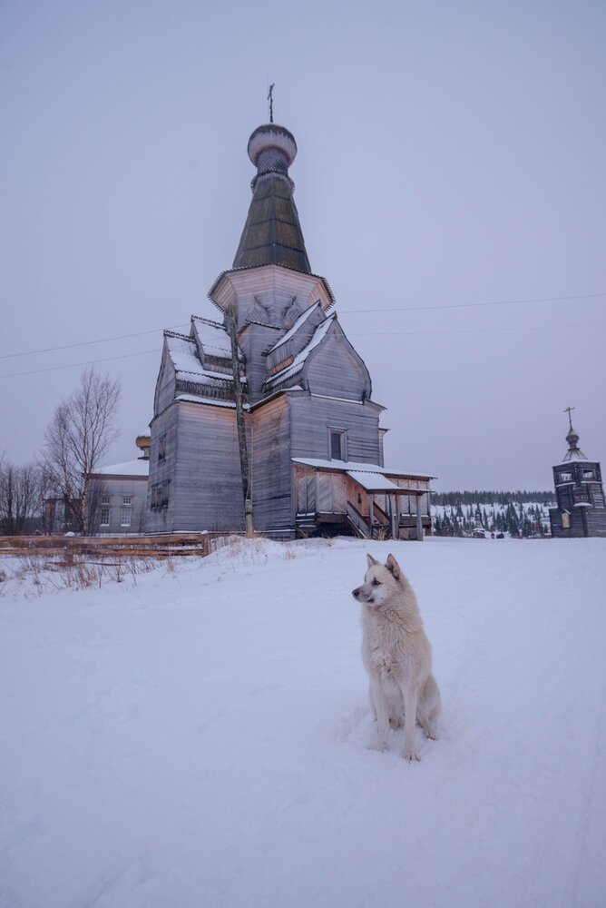 Photograph by Юлия Шестопалова