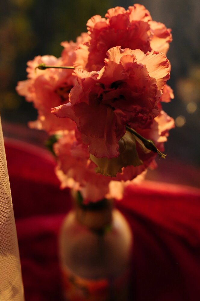 Photograph by Хлопенко Елена Васильевна