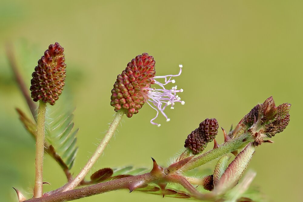 Photograph by Thành Tấn Nguyễn