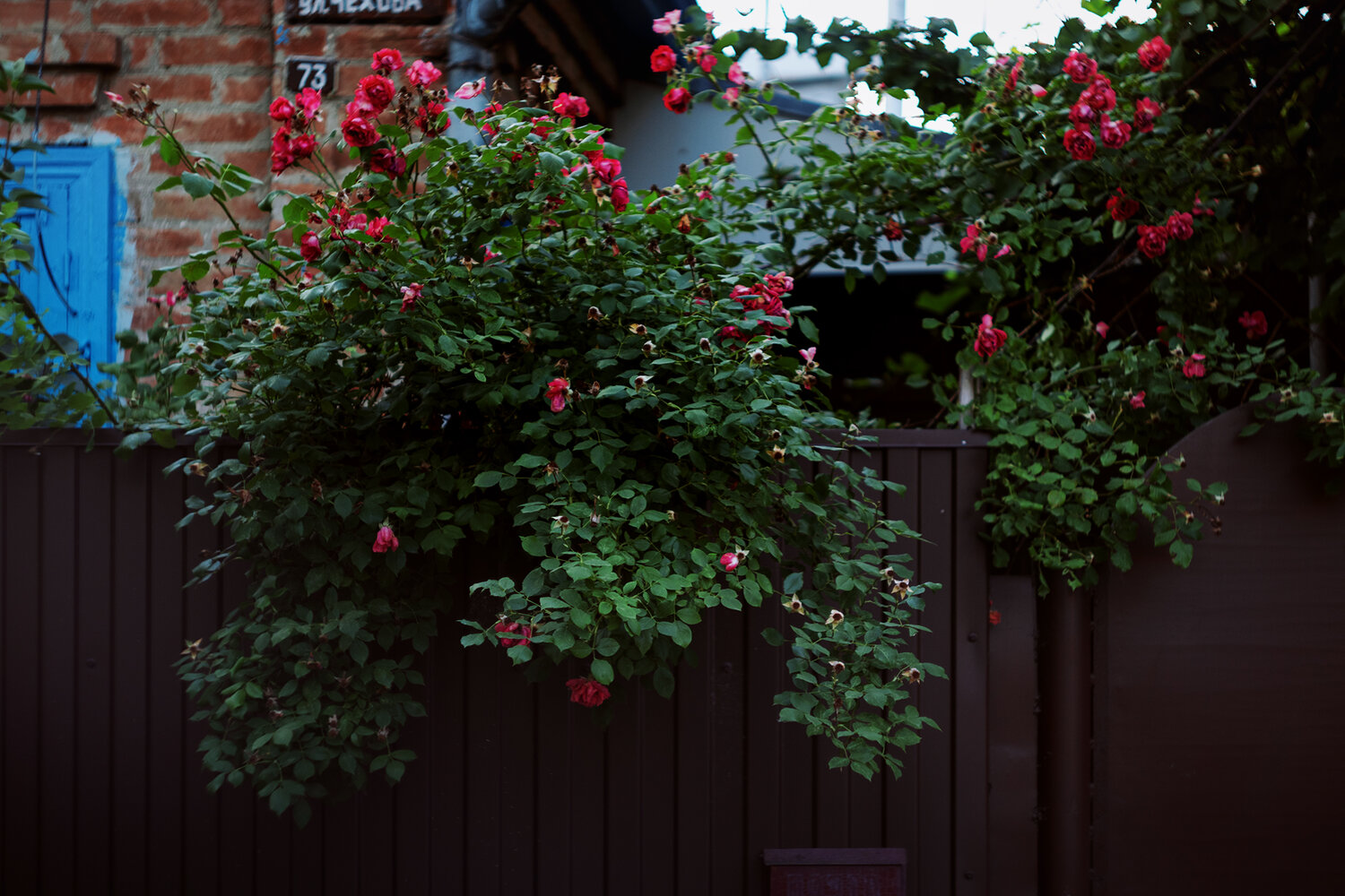 Photo #13869132