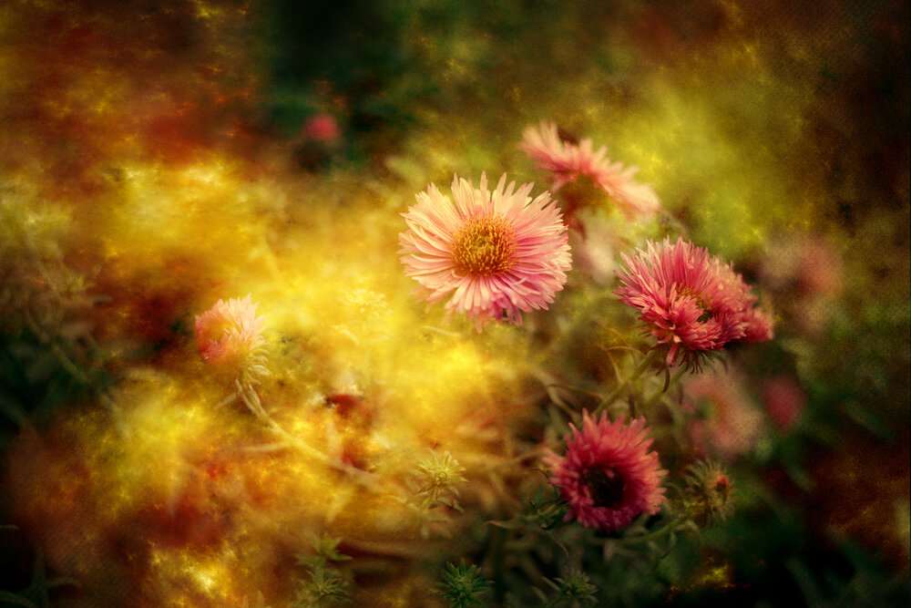 Photograph by Елена Суворова