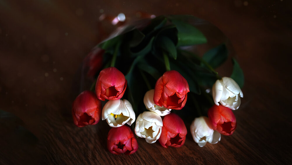 Photograph by Елена Суворова