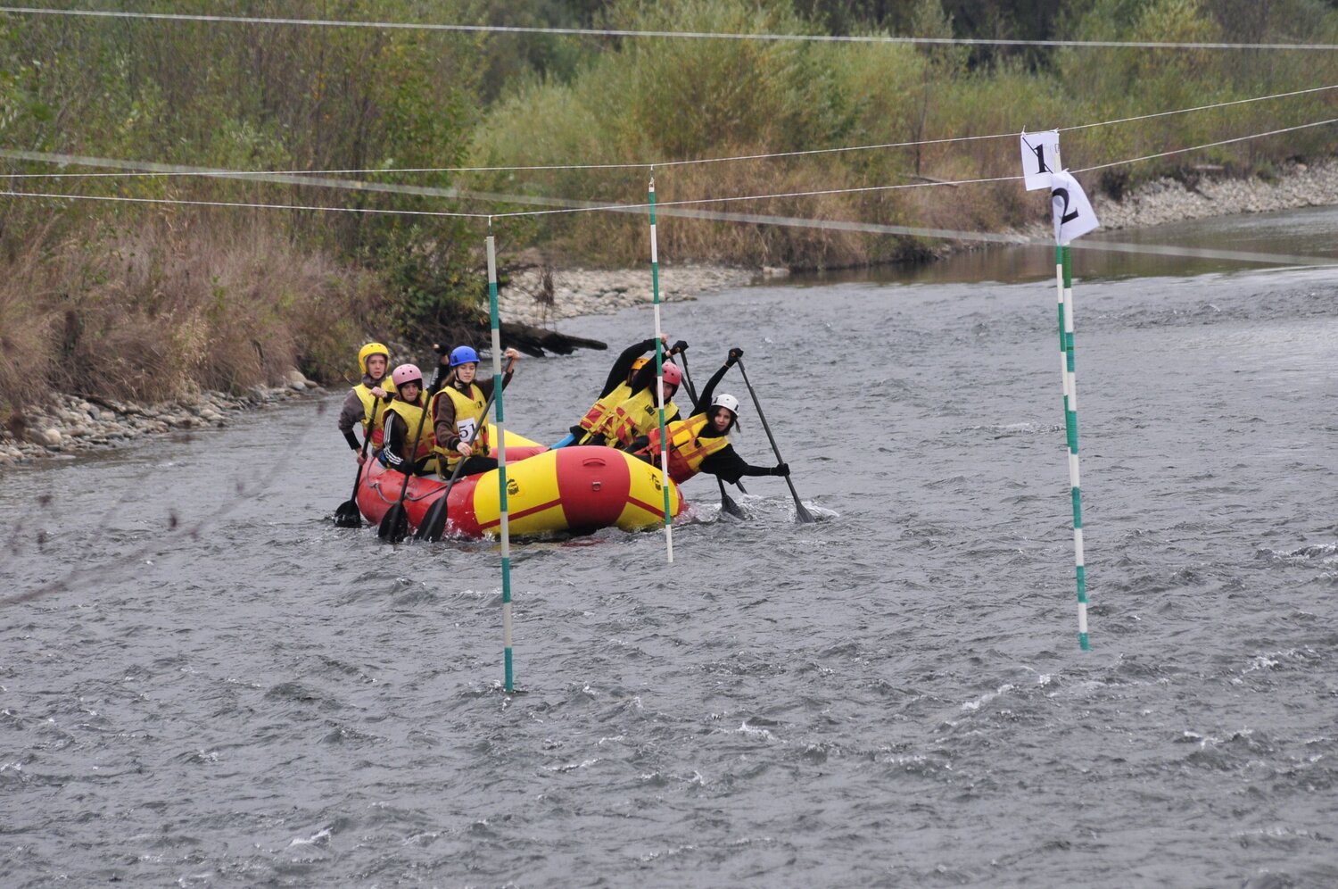 Photo #13869208