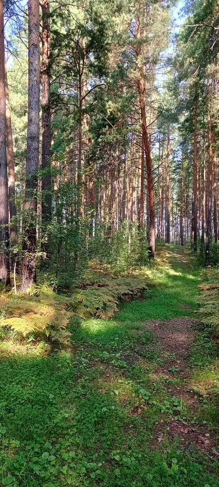 Photograph by Наталья Сырых