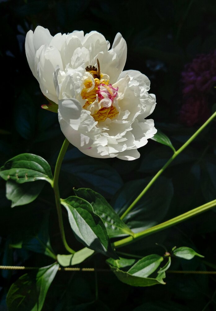 Photograph by Анна Александрова