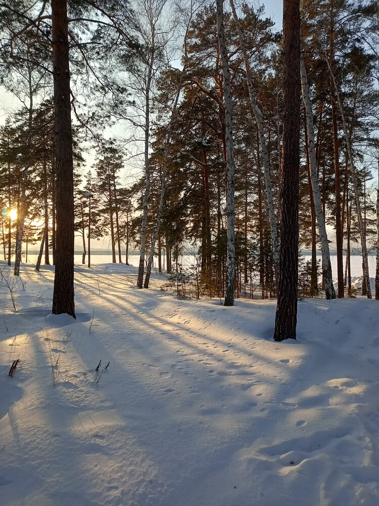 Photograph by Наталья Сырых