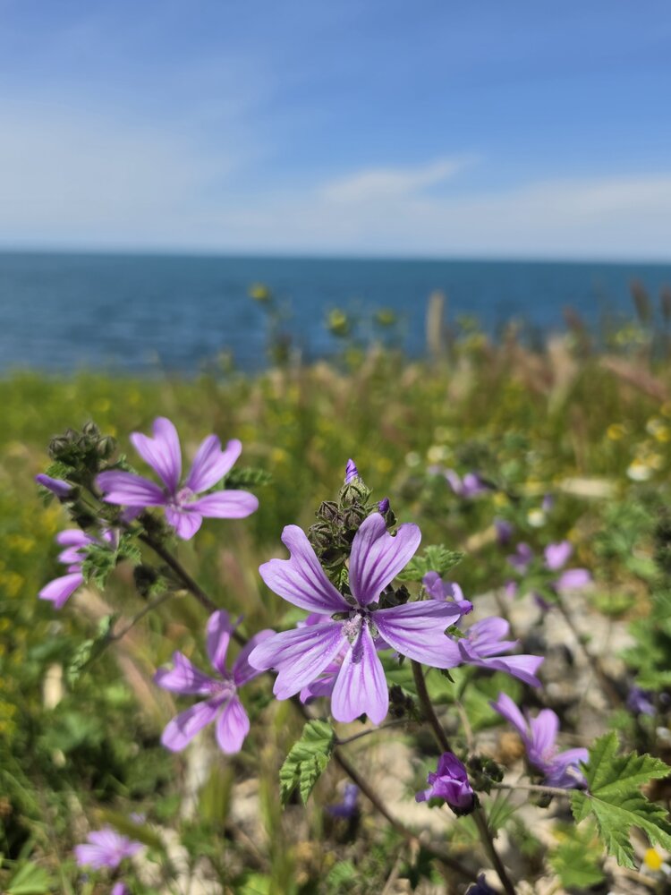 Photograph by Елена Гордеева