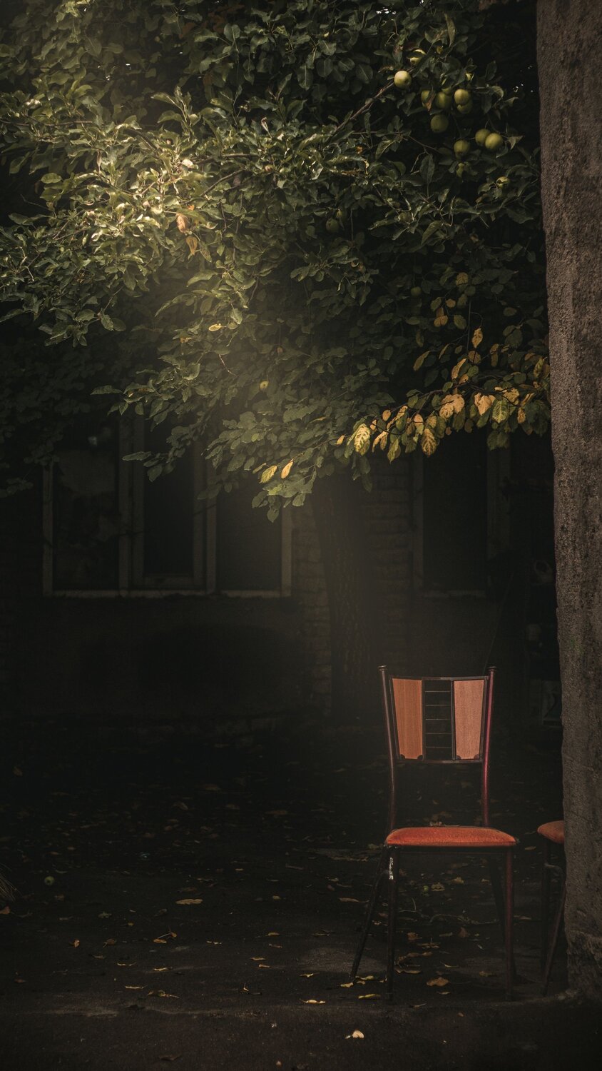 Photo #13869273
