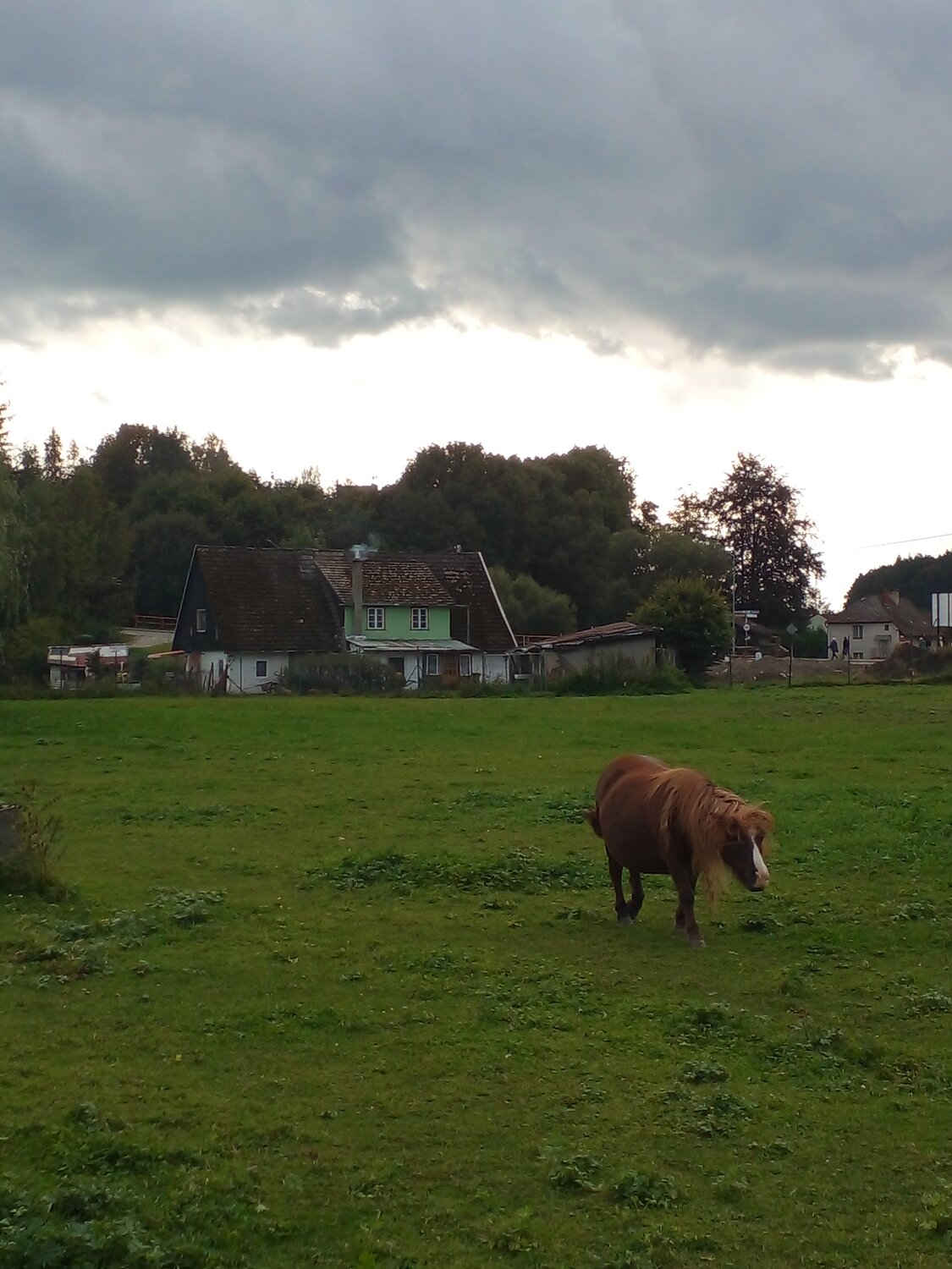 Photo #13869274