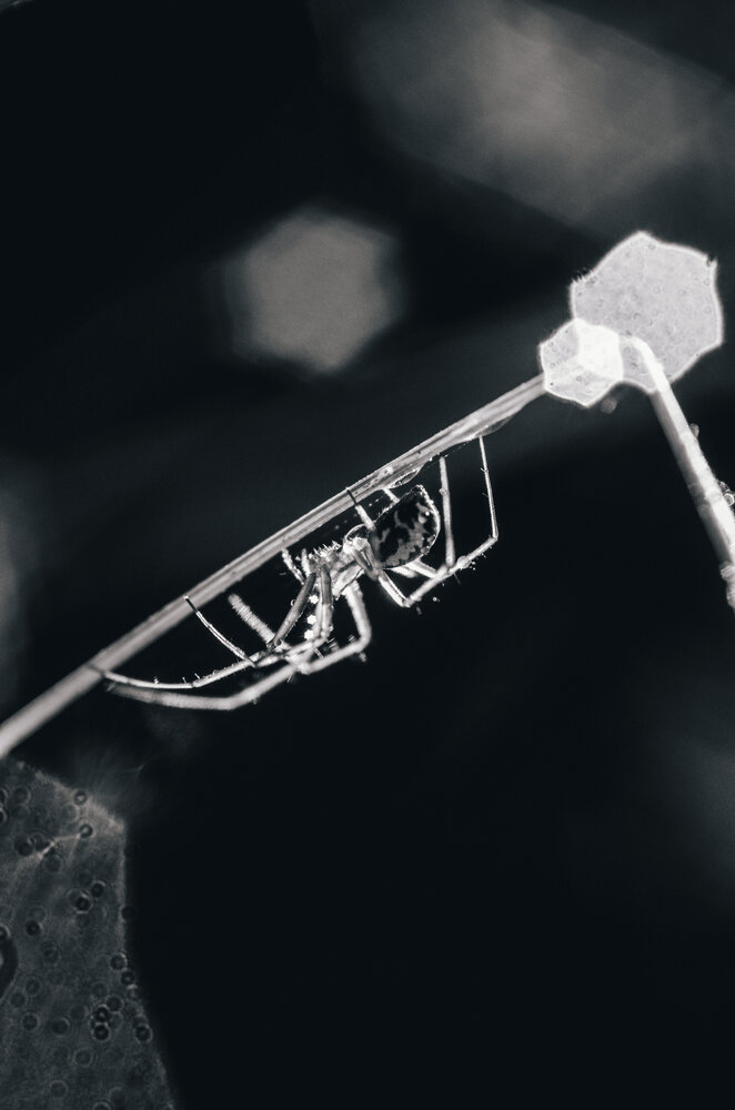 Photograph by Любовь Бусова
