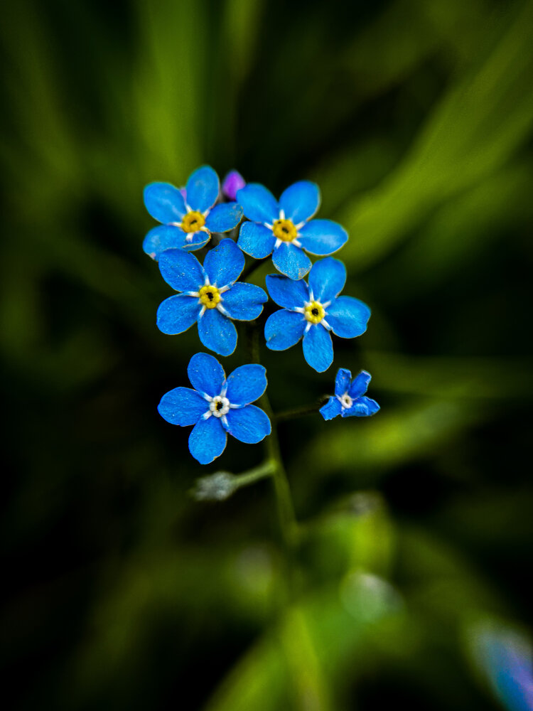Photograph by Анна Пигулевская