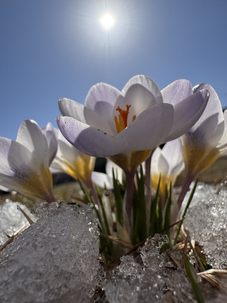 Photograph by Надежда Смекаева