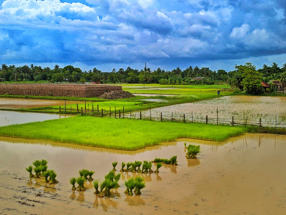 Photograph by Sarasij Betal