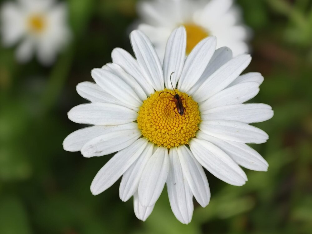 Photograph by Михаил Столяров