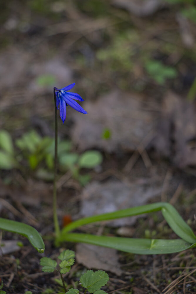 Photograph by Анна Вавулинская