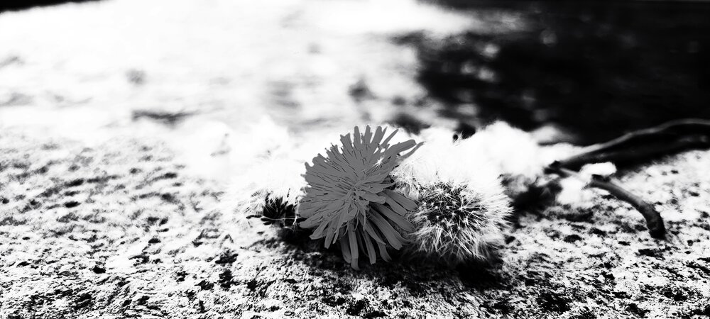 Photograph by Екатерина Александровна