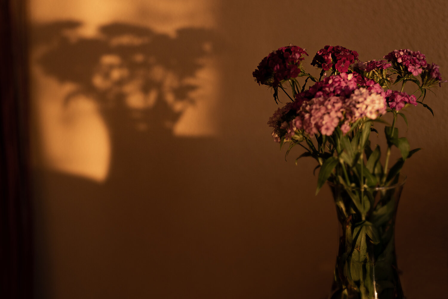 Photo #13869462