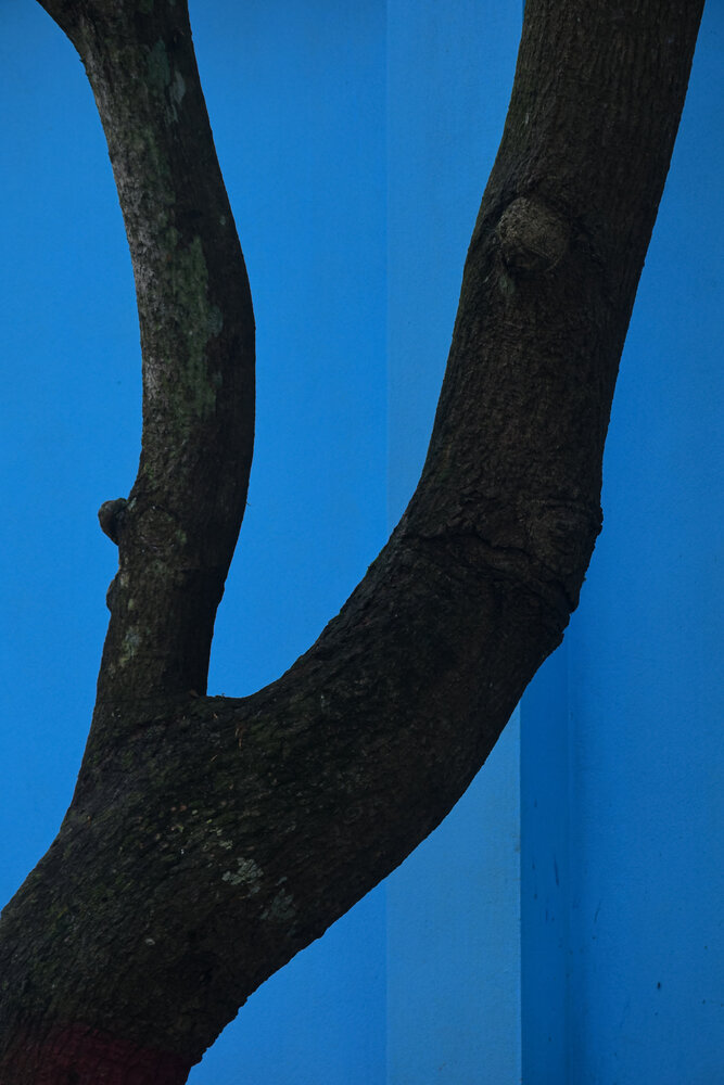 Photograph by Mahfuzur Siam
