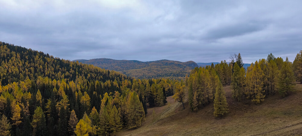 Photograph by Наталья Веселкина