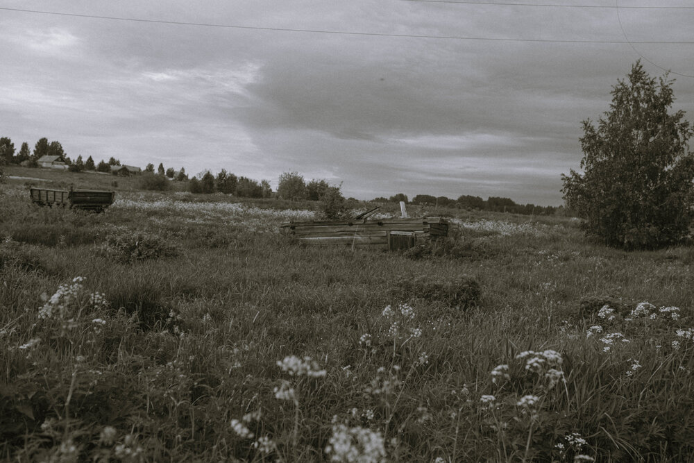 Photograph by Ольга