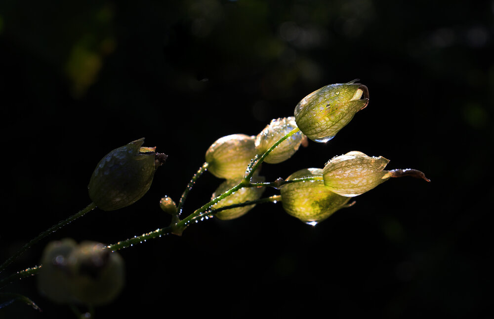 Photograph by Татьяна Сергиенко
