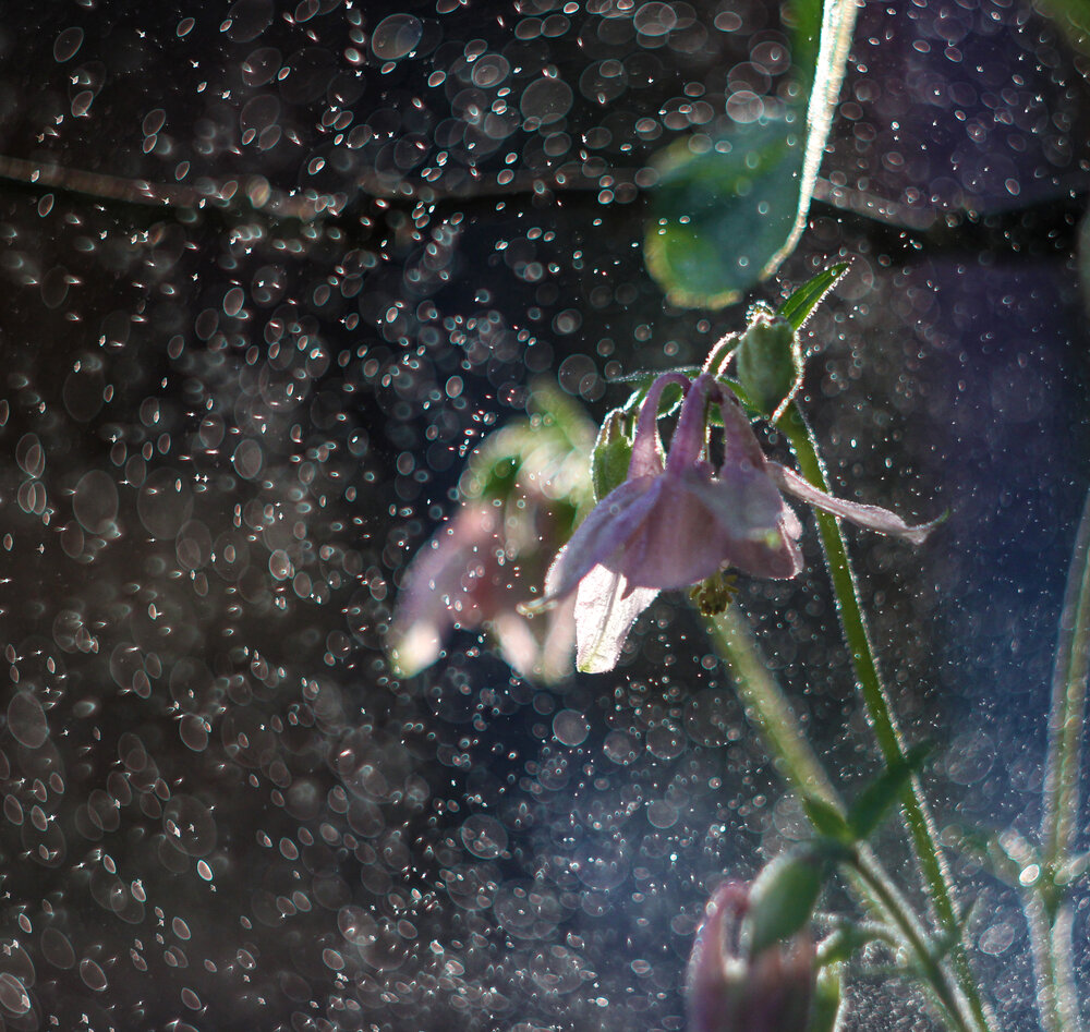 Photograph by Татьяна Сергиенко