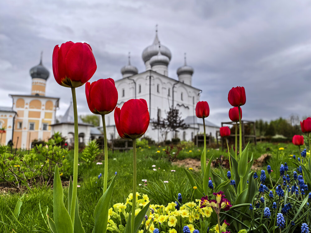 Photograph by Александр Порохов