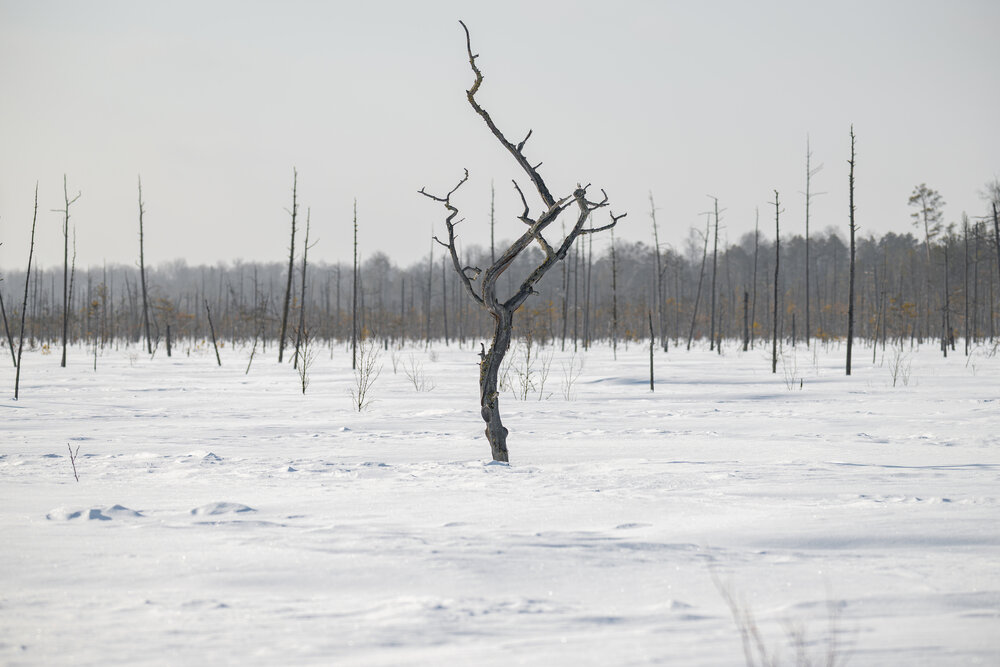 Photograph by Альварис Сукманюк