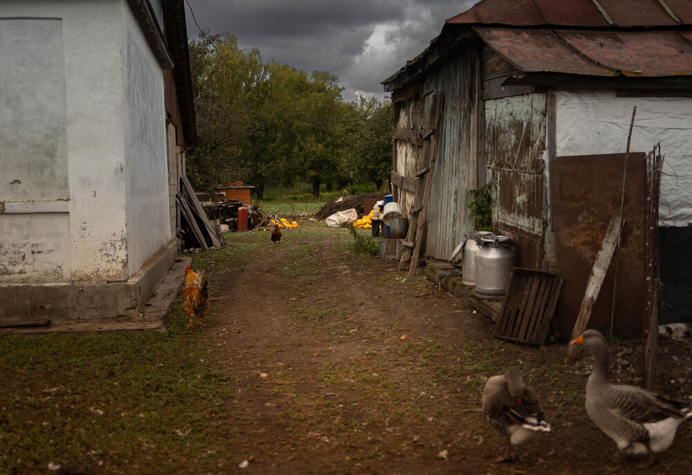 Photograph by Painterman