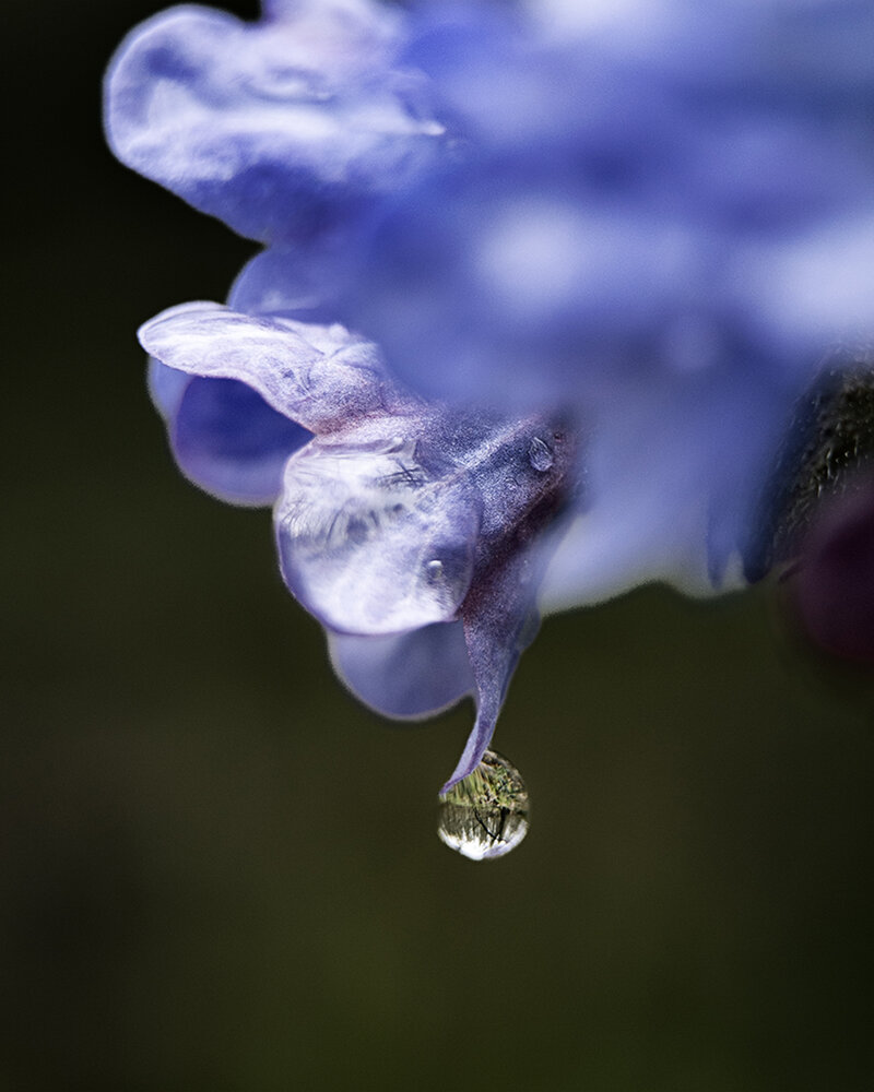 Photograph by Татьяна Пашко