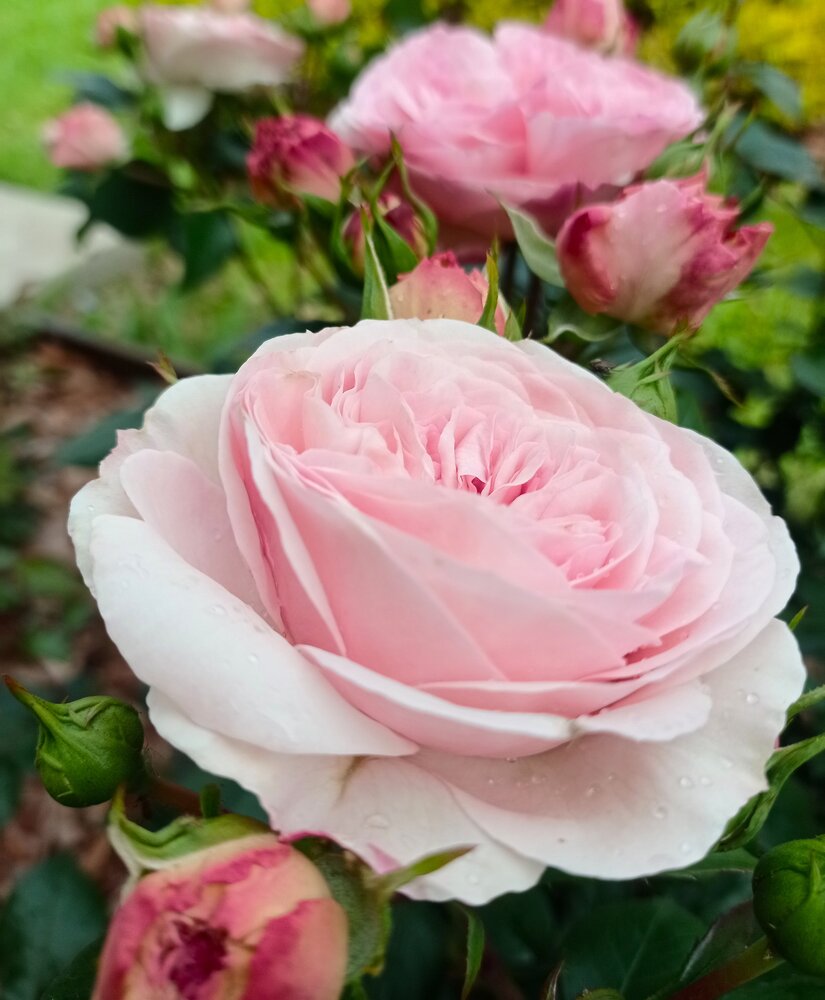 Photograph by Ирина Орлова