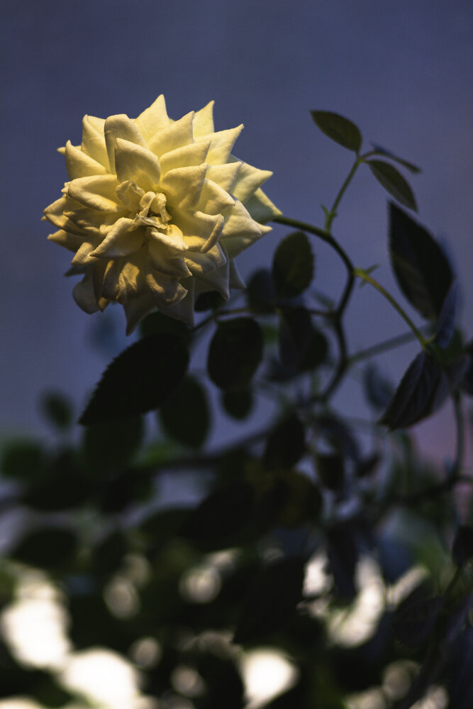 Photograph by Евгений Виличинский