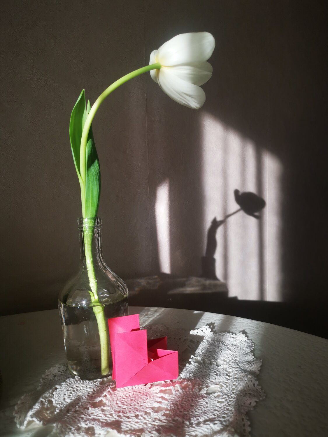 Photo #13869843
