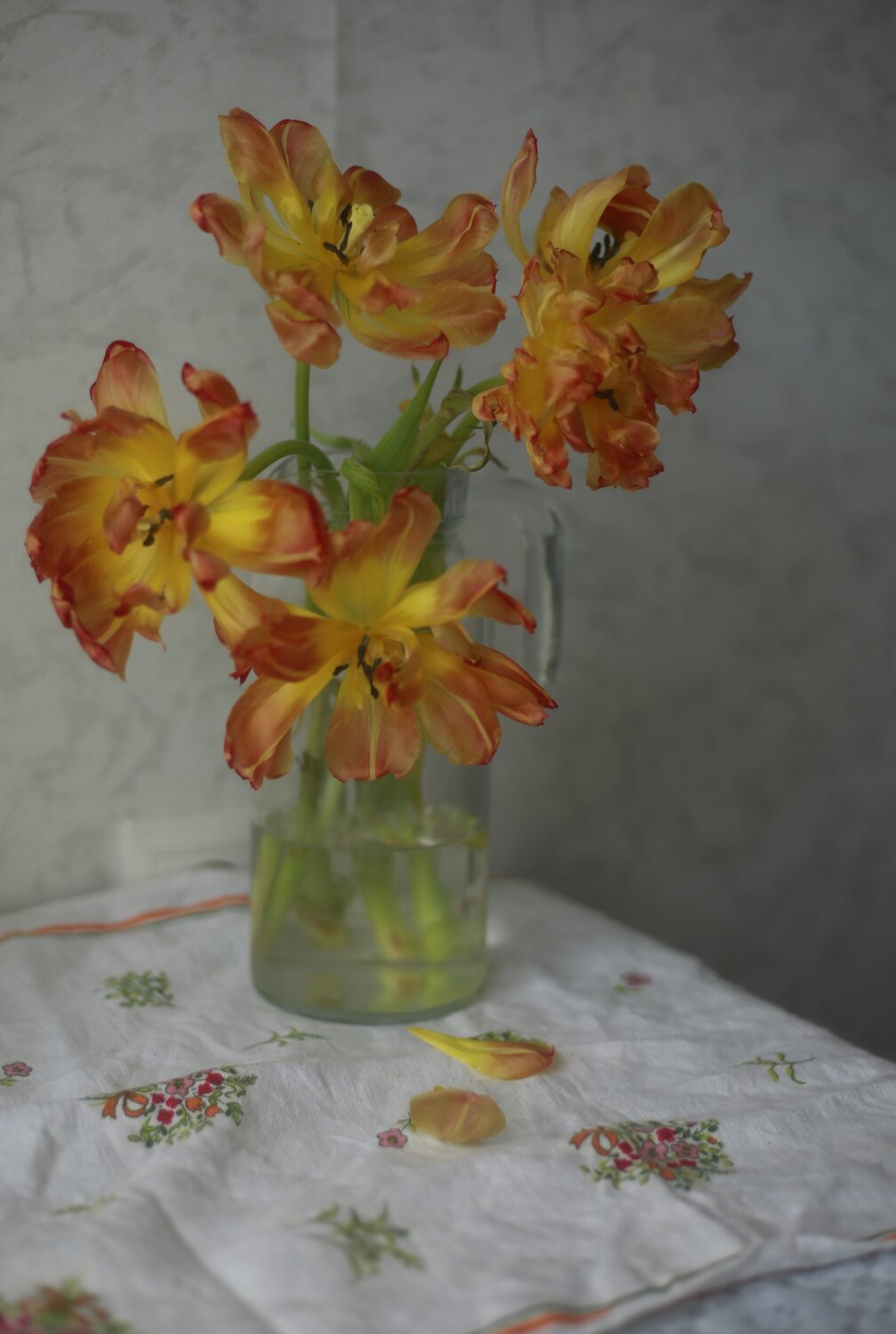 Photo #13869844