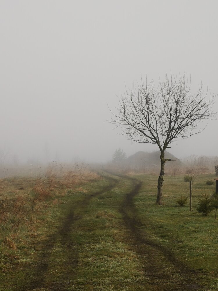Photograph by Шипович Татьяна