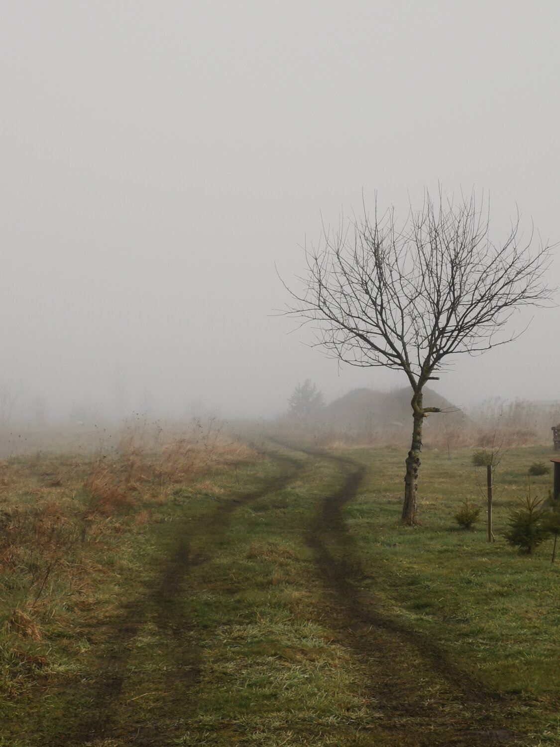 Photo #13869867