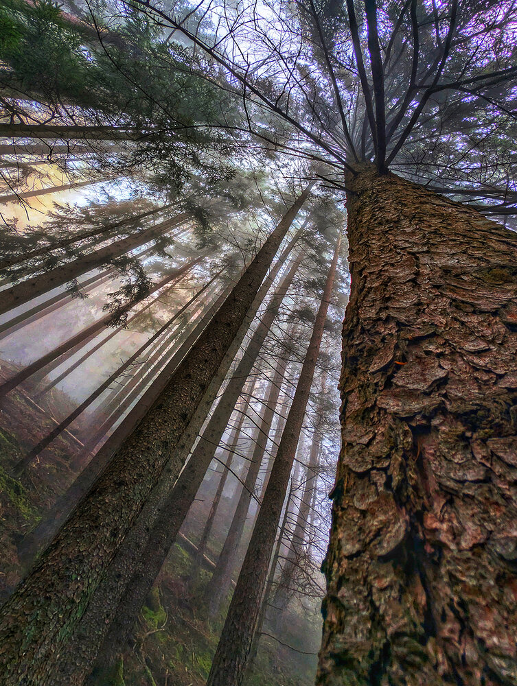In search of the light