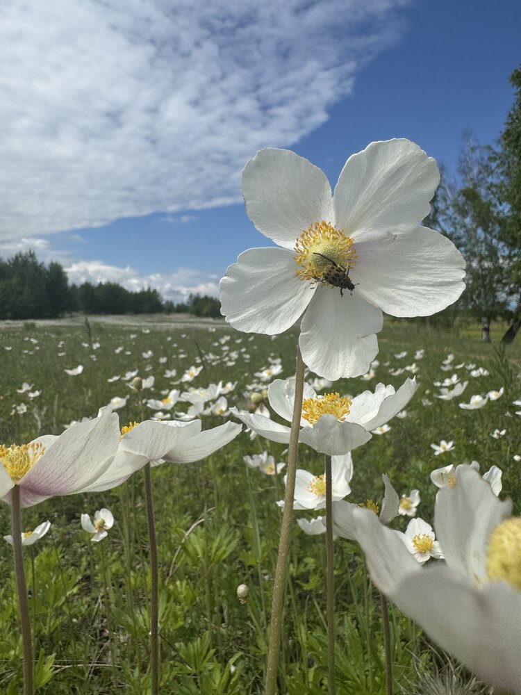Photograph by Анастасия Самойленко