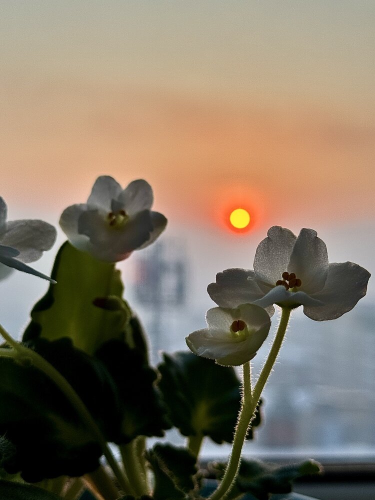 Photograph by Анастасия Самойленко