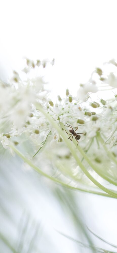 Photograph by Антонина Туркулец