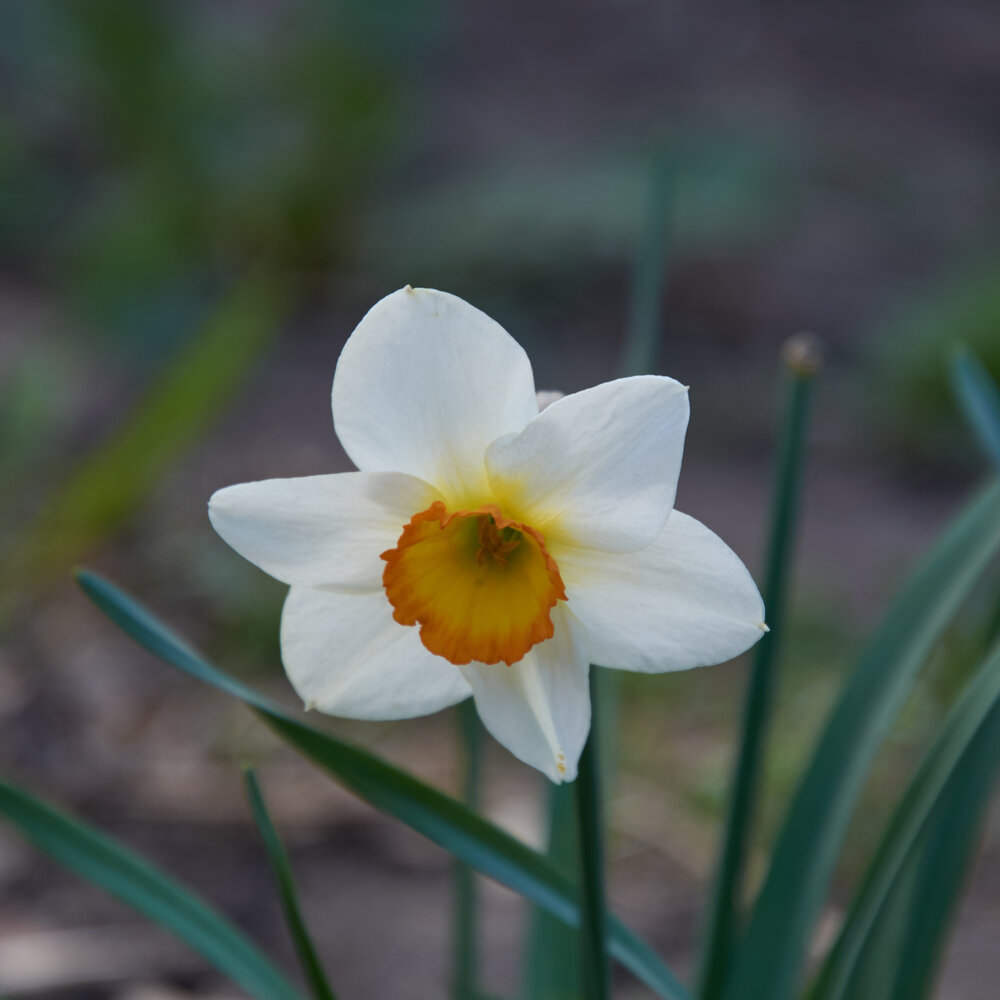 Photograph by Алексей Пахомов